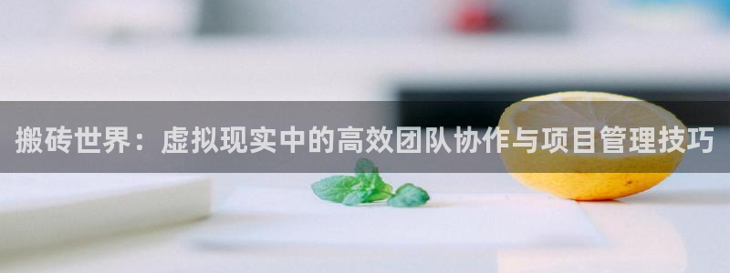 乐玩最新版本下载：搬砖世界：虚拟现实中的高效团队协作与项目管