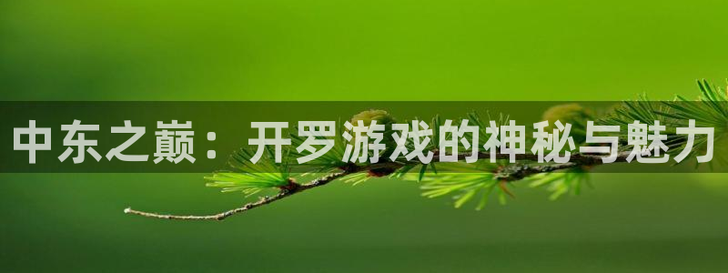 乐玩苹果下载：中东之巅：开罗游戏的神秘与魅力