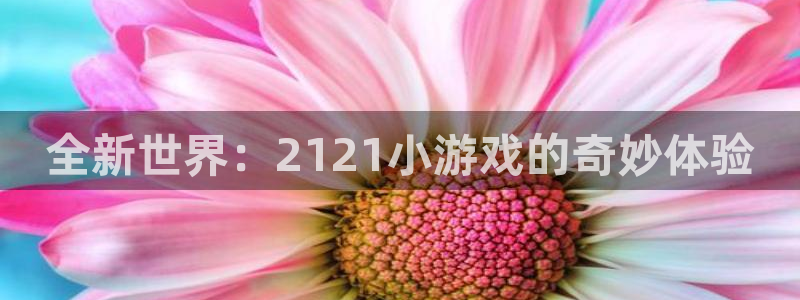 乐玩玩手游官网入口：全新世界：2121小游戏的奇妙体验