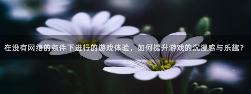 乐玩lewin：在没有网络的条件下进行的游戏体验，如何提升游