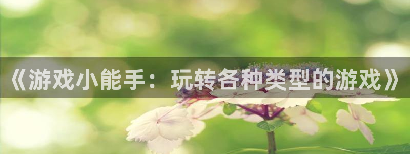 乐玩手游平台官网下载安装：《游戏小能手：玩转各种类型的游戏》