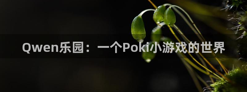 游戏平台乐玩怎么玩：Qwen乐园：一个Poki小游戏的世界