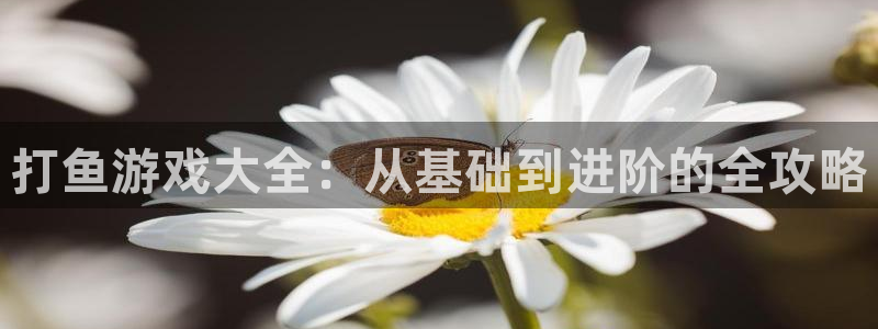 百游乐玩官网客服电话