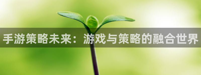 乐玩兼职是真的吗