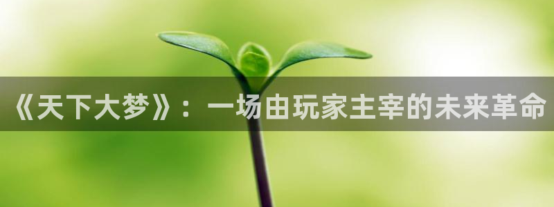 乐玩玩游戏平台