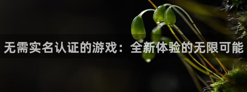 百游乐玩官网客服电话