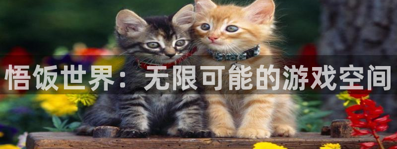 乐玩logo：悟饭世界：无限可能的游戏空间