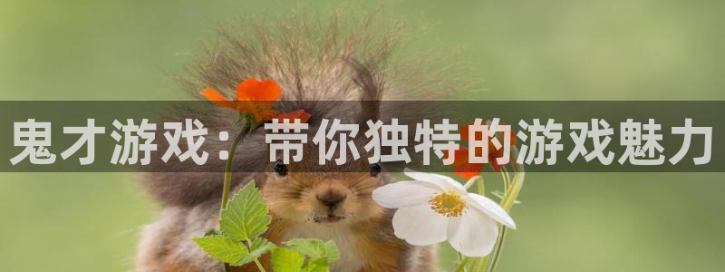 乐玩模块教程：鬼才游戏：带你独特的游戏魅力