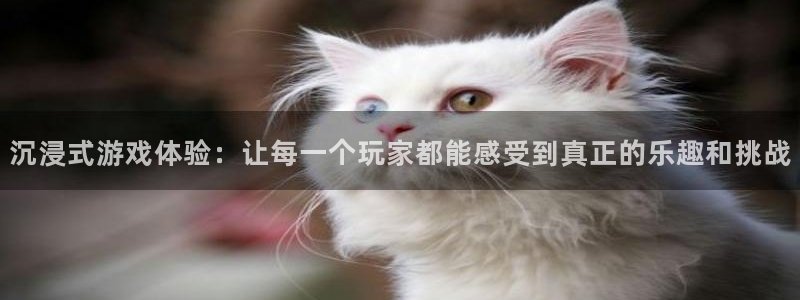 乐玩下载安装破解版